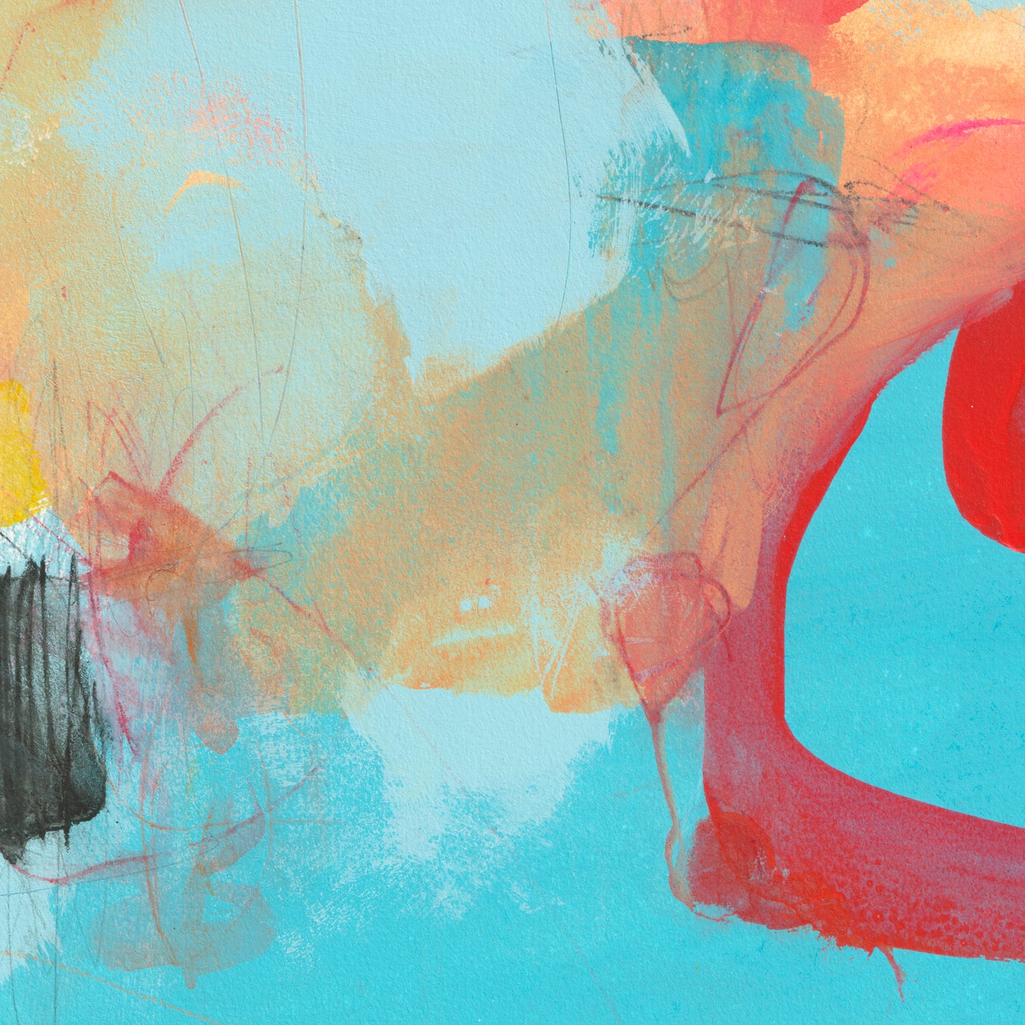 À chaque printemps, il plantait des capucines