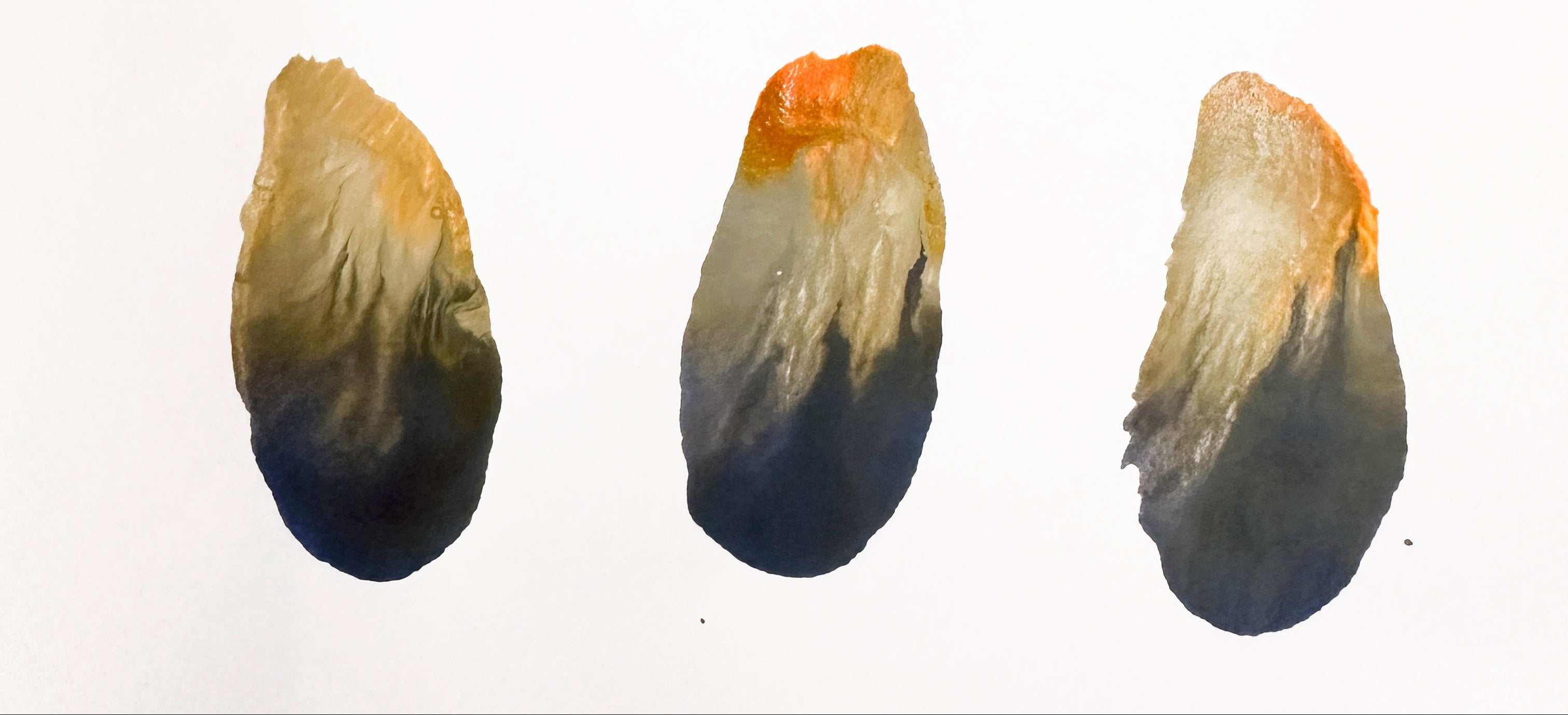 Encapsulated landscape study by Canadian visual artist Lucie Arsenault exploring inner territories